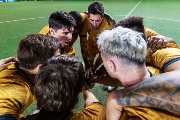 更具观赏性 更具观赏性